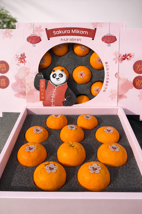 【100% ORIGINAL】樱花蜜柑 Kungfu Panda Sakura Mikam (10pcs)