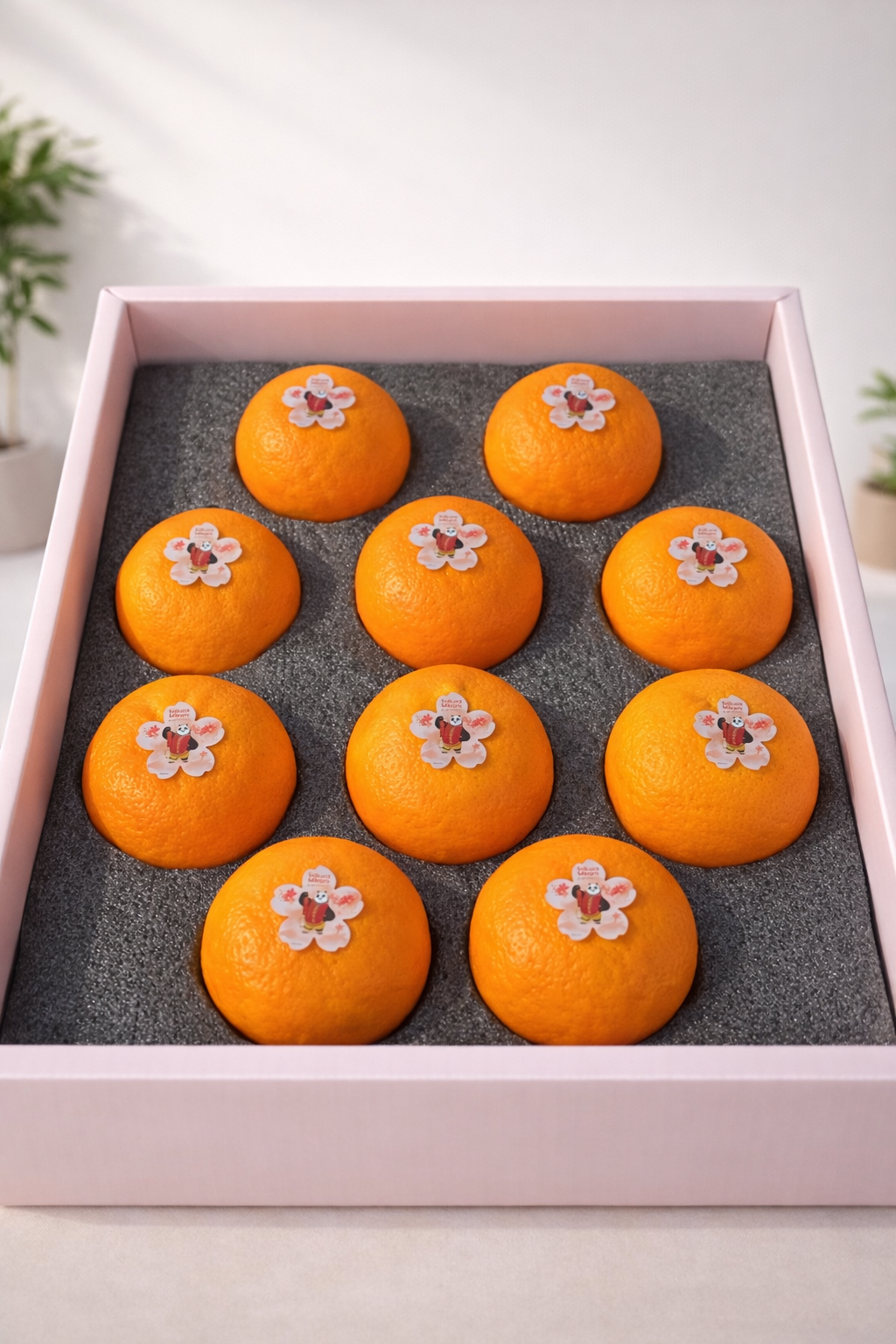 【100% ORIGINAL】樱花蜜柑 Kungfu Panda Sakura Mikam (10pcs)